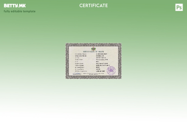 модерен стил на Света Луција од витално значење за умрениот шаблон PSD шаблон